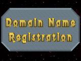 Domain name registration